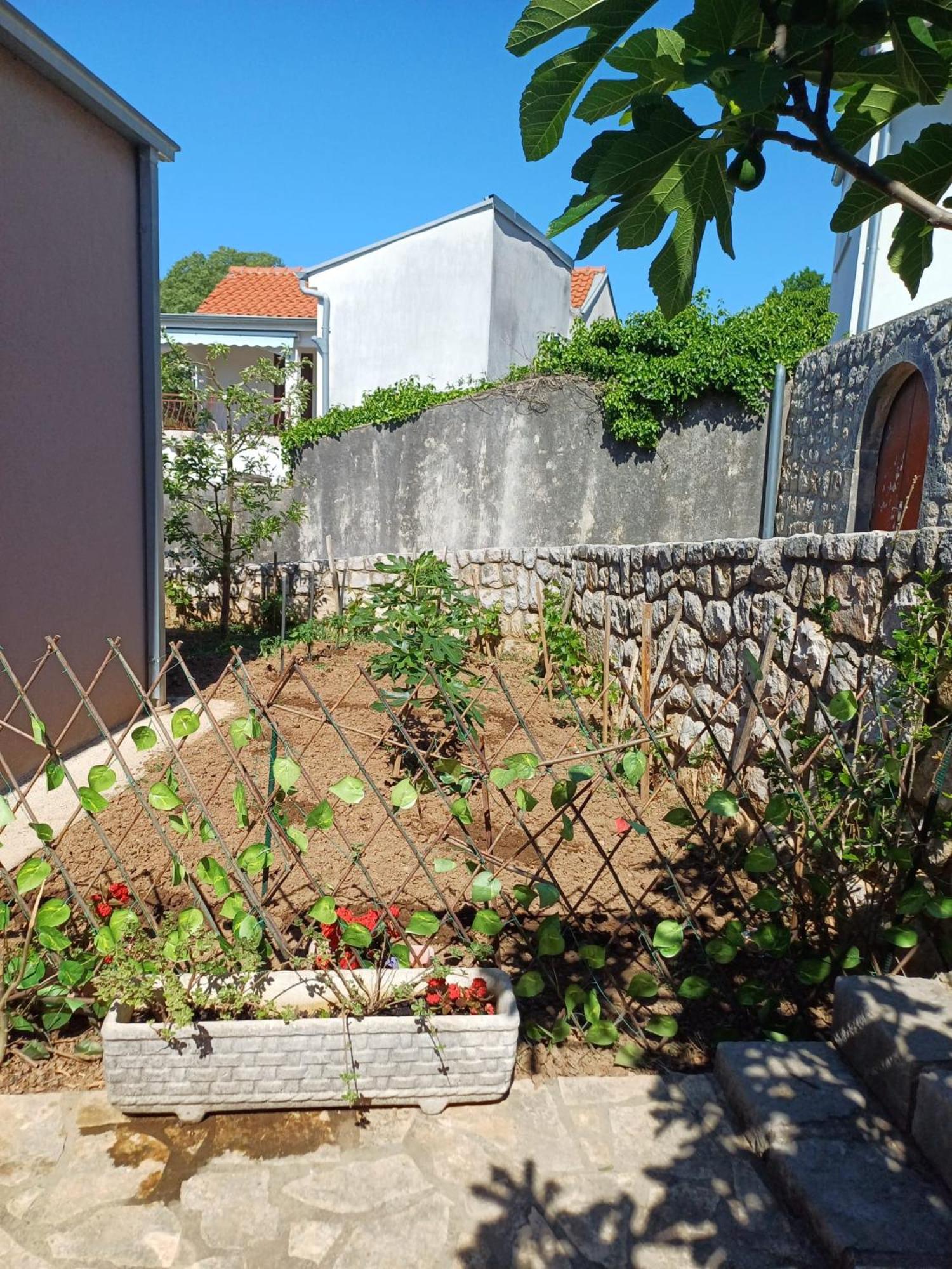 Apartmani Afrodita Crikvenica Ngoại thất bức ảnh